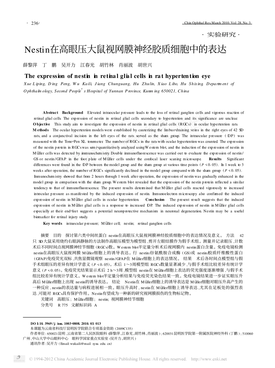 Nestin在高眼压大鼠视网膜神经胶质细胞中的表达_第1页