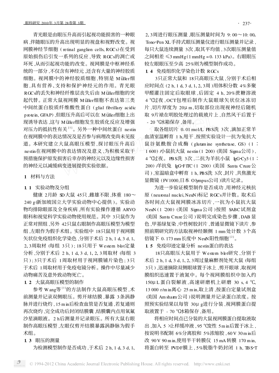 Nestin在高眼压大鼠视网膜神经胶质细胞中的表达_第2页