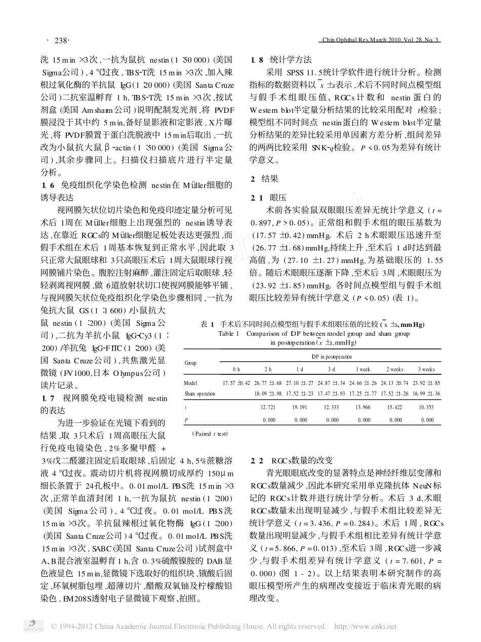 Nestin在高眼压大鼠视网膜神经胶质细胞中的表达_第3页