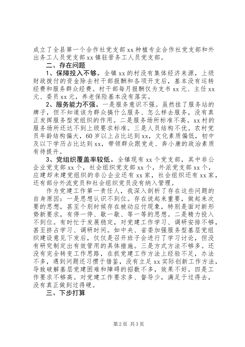XX年党委书记抓党建工作总结范文_第2页