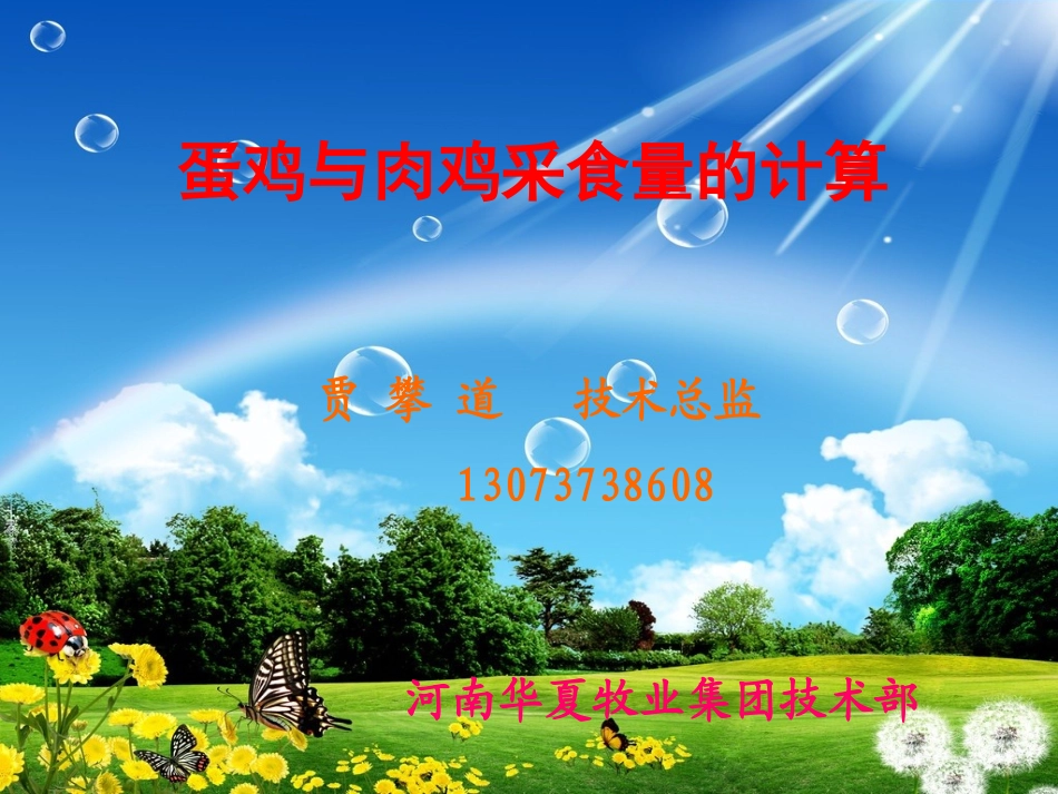 蛋鸡与肉鸡采食量的计算_第1页