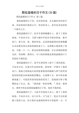 那段温暖的日子作文