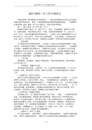 2017新的一年工作实践计划范文