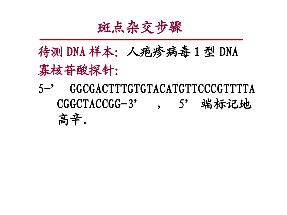 斑点杂交步骤(2012)_第1页