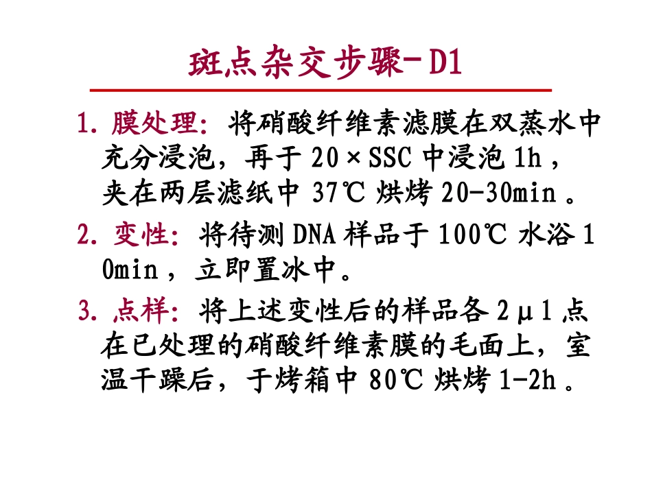 斑点杂交步骤(2012)_第2页