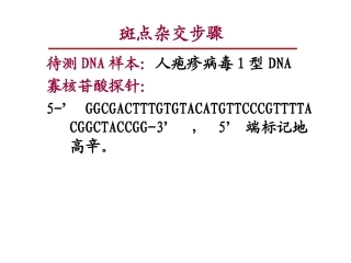 斑点杂交步骤(2012)