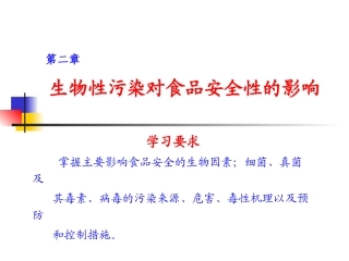 安全性第二章1 2 3节