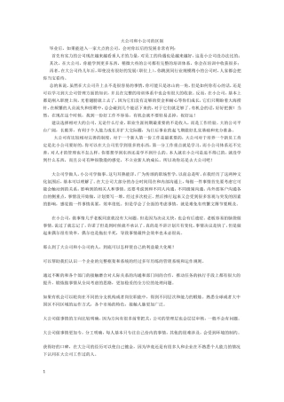 大公司与小公司的区别