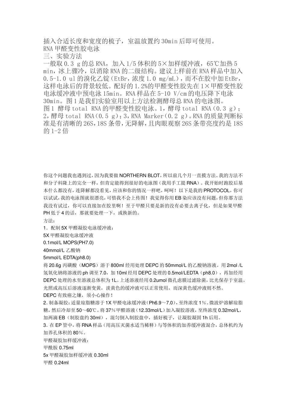 RNA甲醛变性胶电泳_第2页