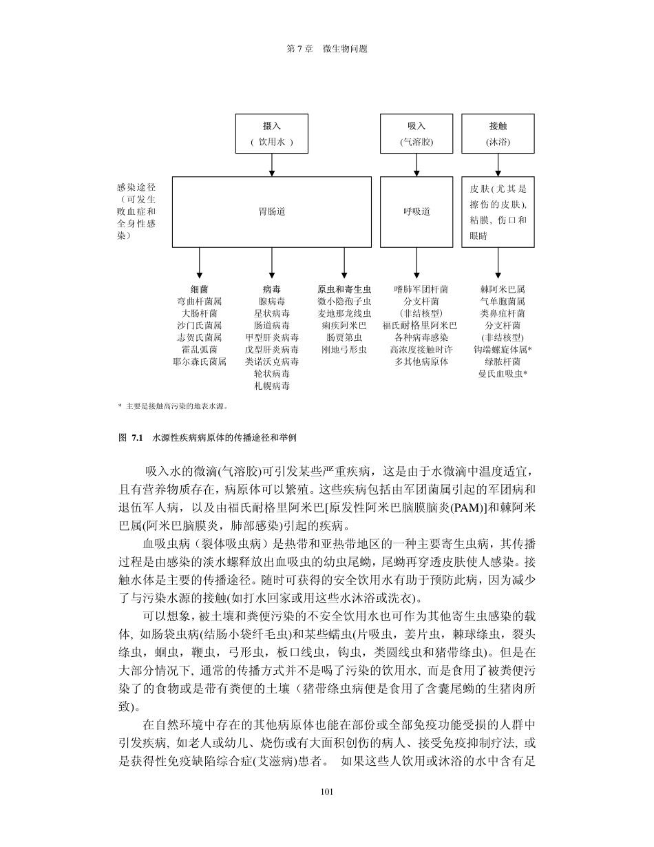 第7章 微生物问题_第3页