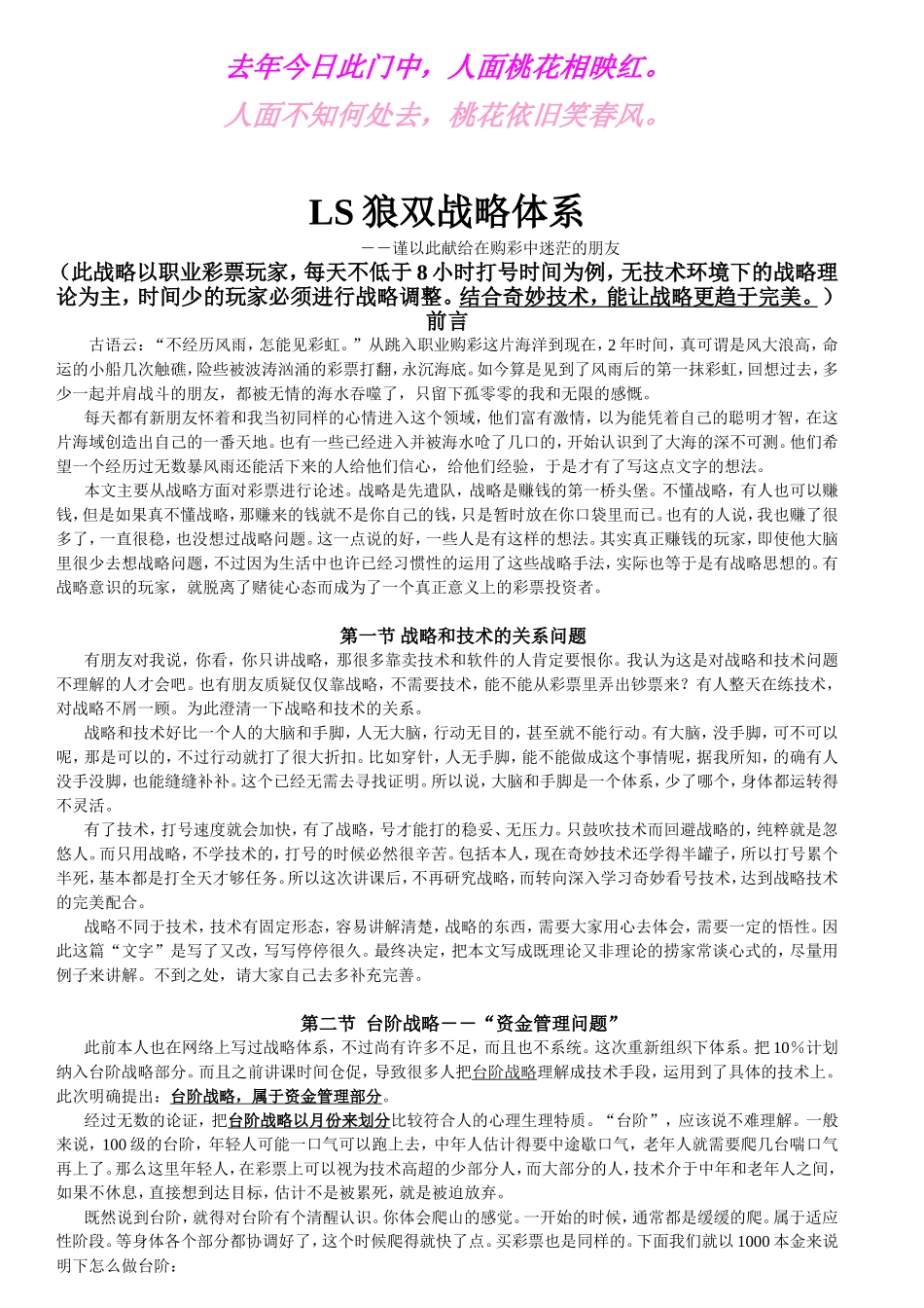 LS狼双战略体系_第1页