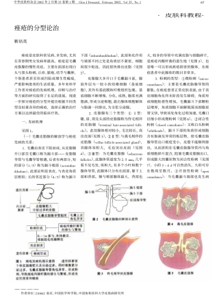 痤疮的分型论治