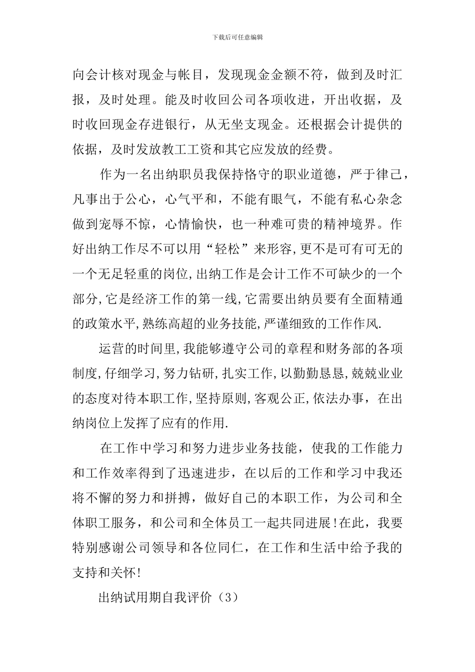 出纳自我工作评价_第3页