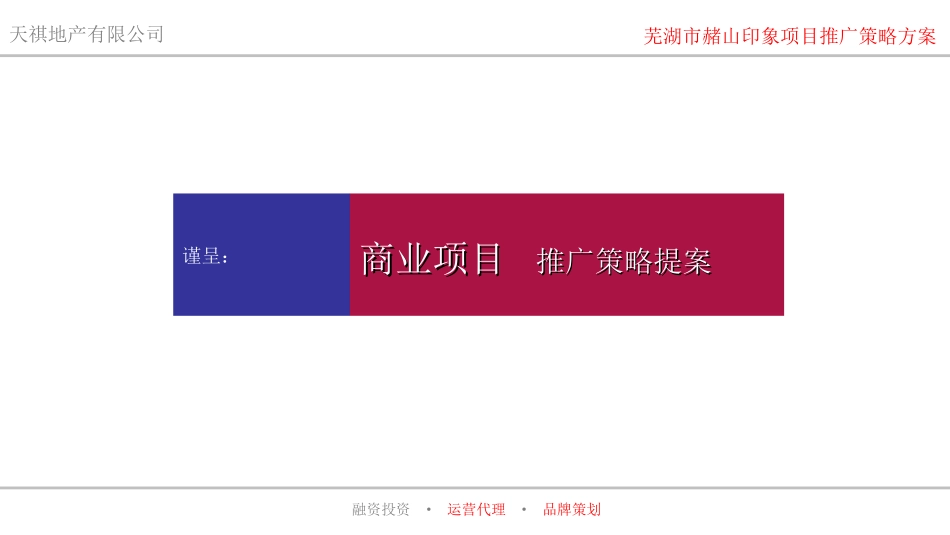 2015印象推广策略提案_第1页