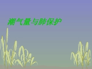 潮气量与肺保护