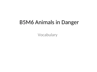 b5m6 Vocabulary