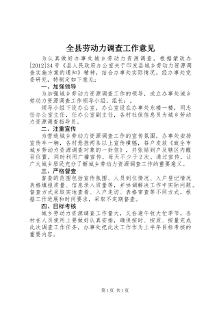 全县劳动力调查工作意见