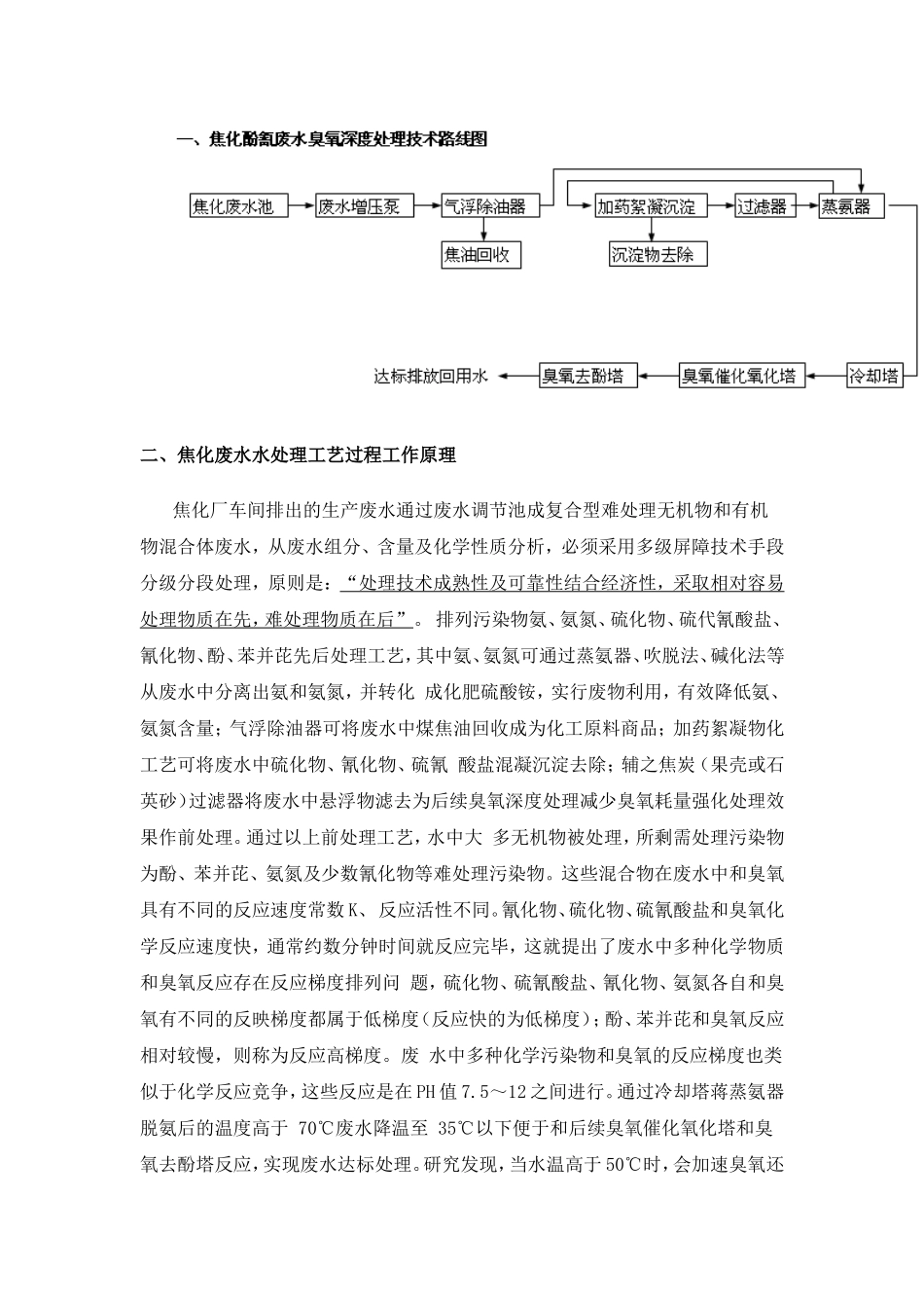 臭氧焦化废水处理_第1页