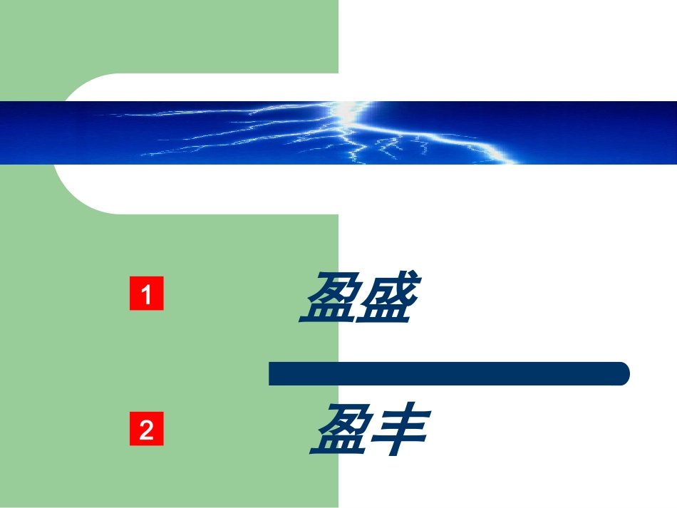 “盈盛C”产品介绍_第3页