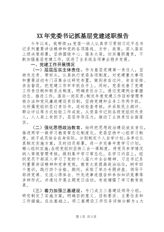 XX年党委书记抓基层党建述职报告