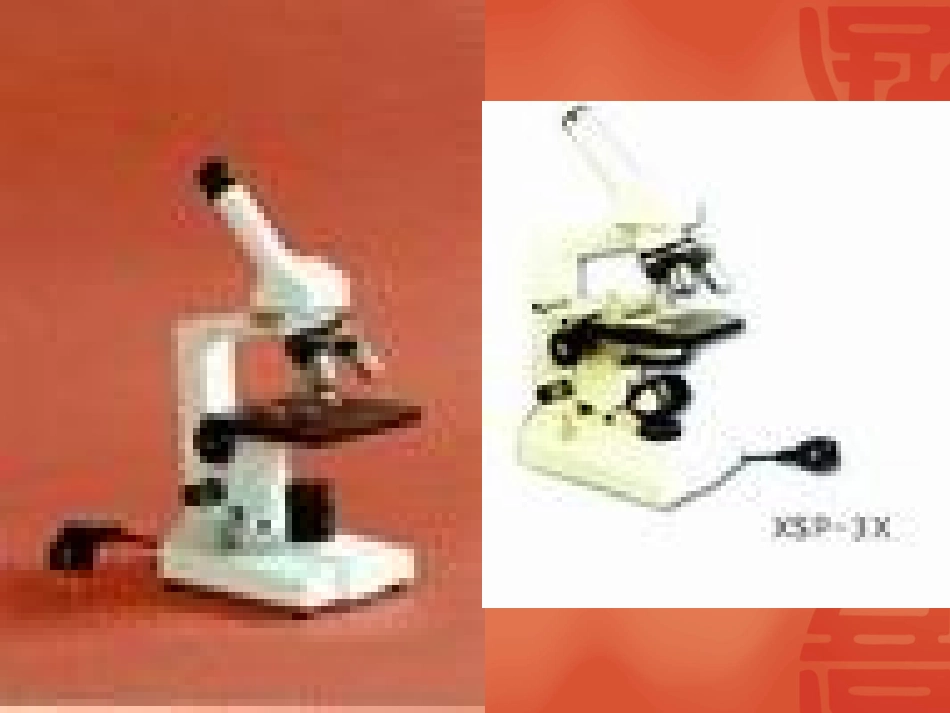 第1节 从生物圈到细胞_第2页