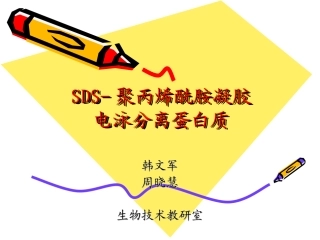 垂直板电泳分离蛋白质--教学课件