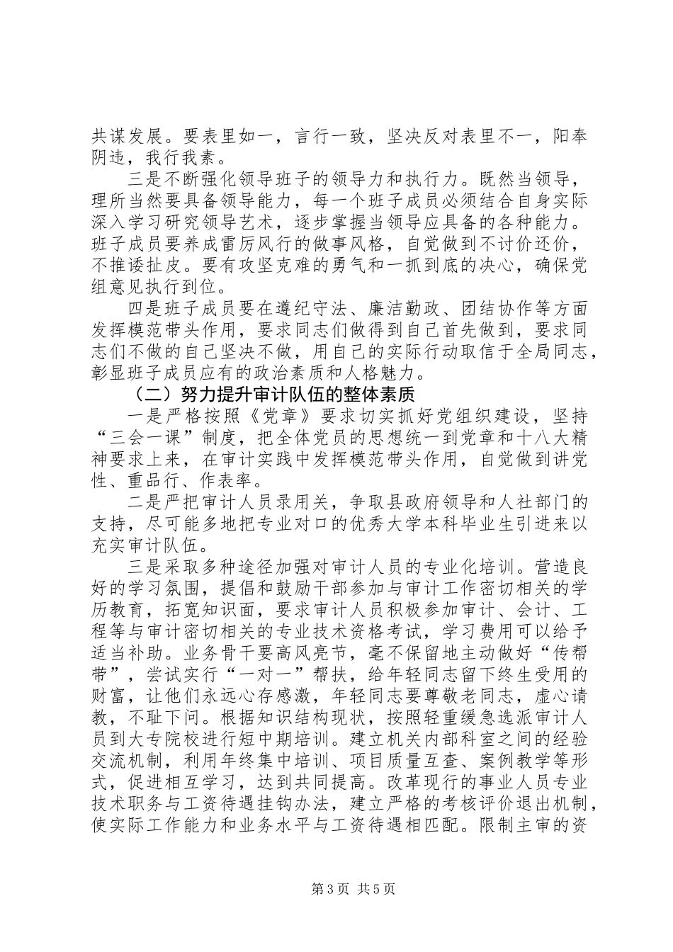 全县审计队伍建设工作意见_第3页