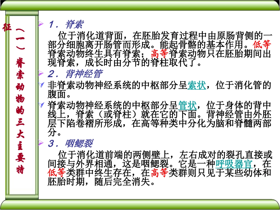 奥赛辅导(脊椎动物)_第2页