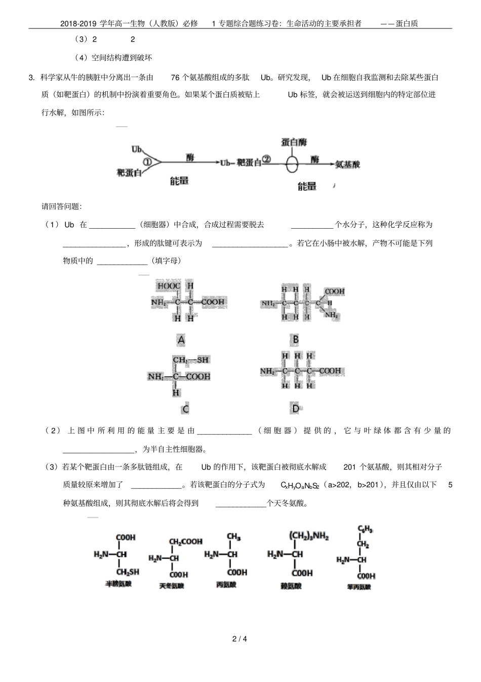 2018-2019学年高一生物人教版必修1专题综合题练习卷：生命活动的主要承担者——蛋白质_第2页