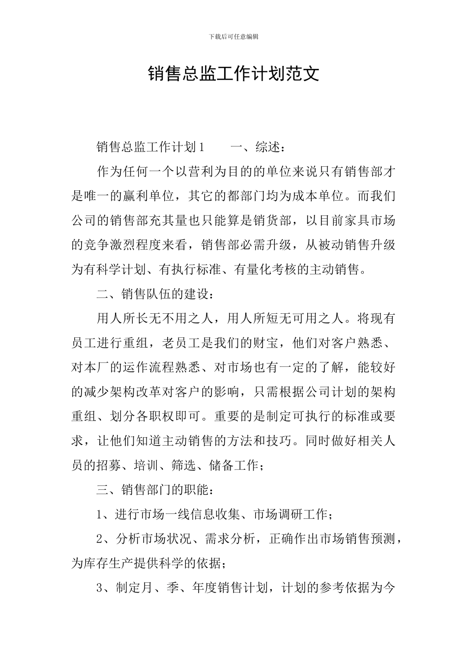 销售总监工作计划范文_第1页