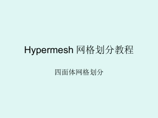 Hypermesh四面体网格