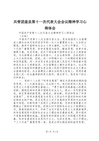 共青团盘县第十一次代表大会会议精神学习心得体会