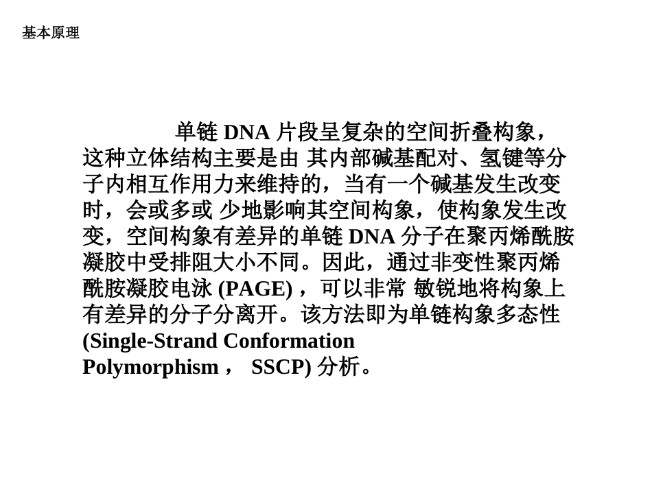 sscp实验操作_第2页
