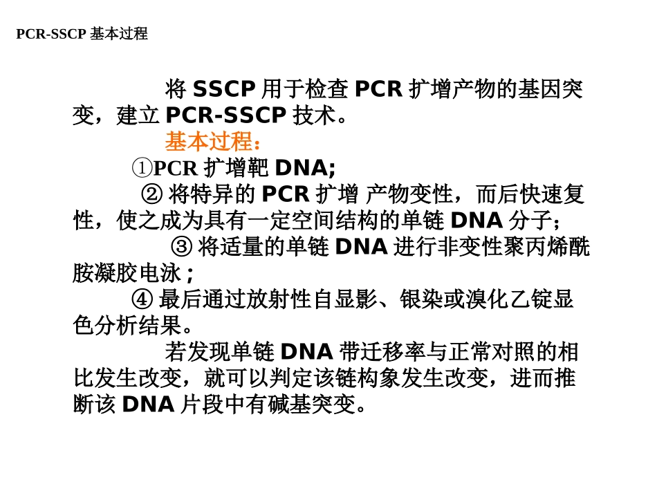 sscp实验操作_第3页
