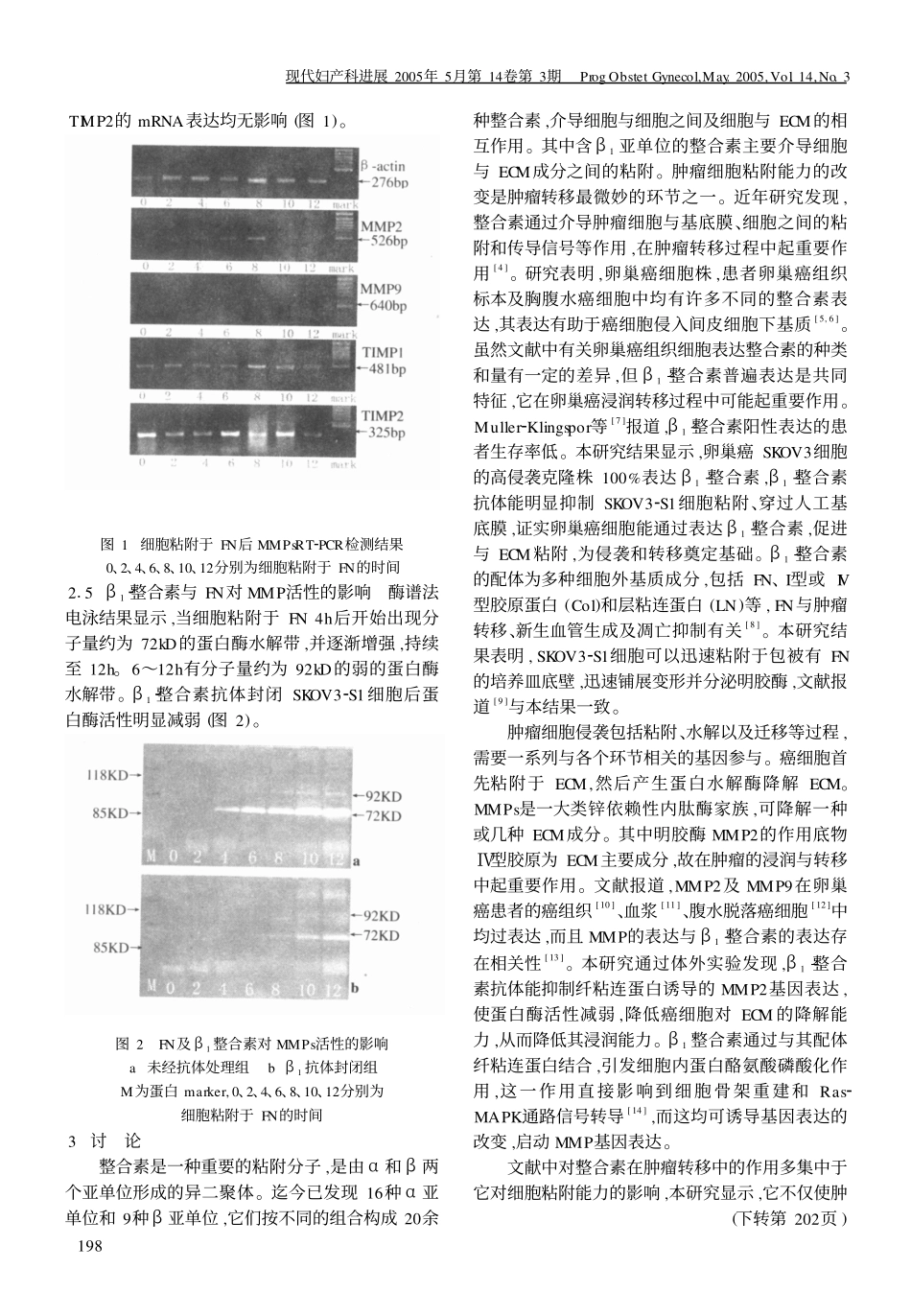 β12整合素与纤维粘连蛋白联合促进卵巢癌细胞侵袭转移3_第3页