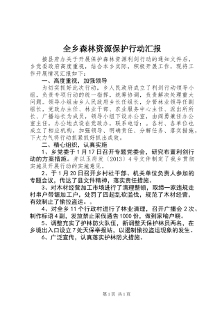 全乡森林资源保护行动汇报