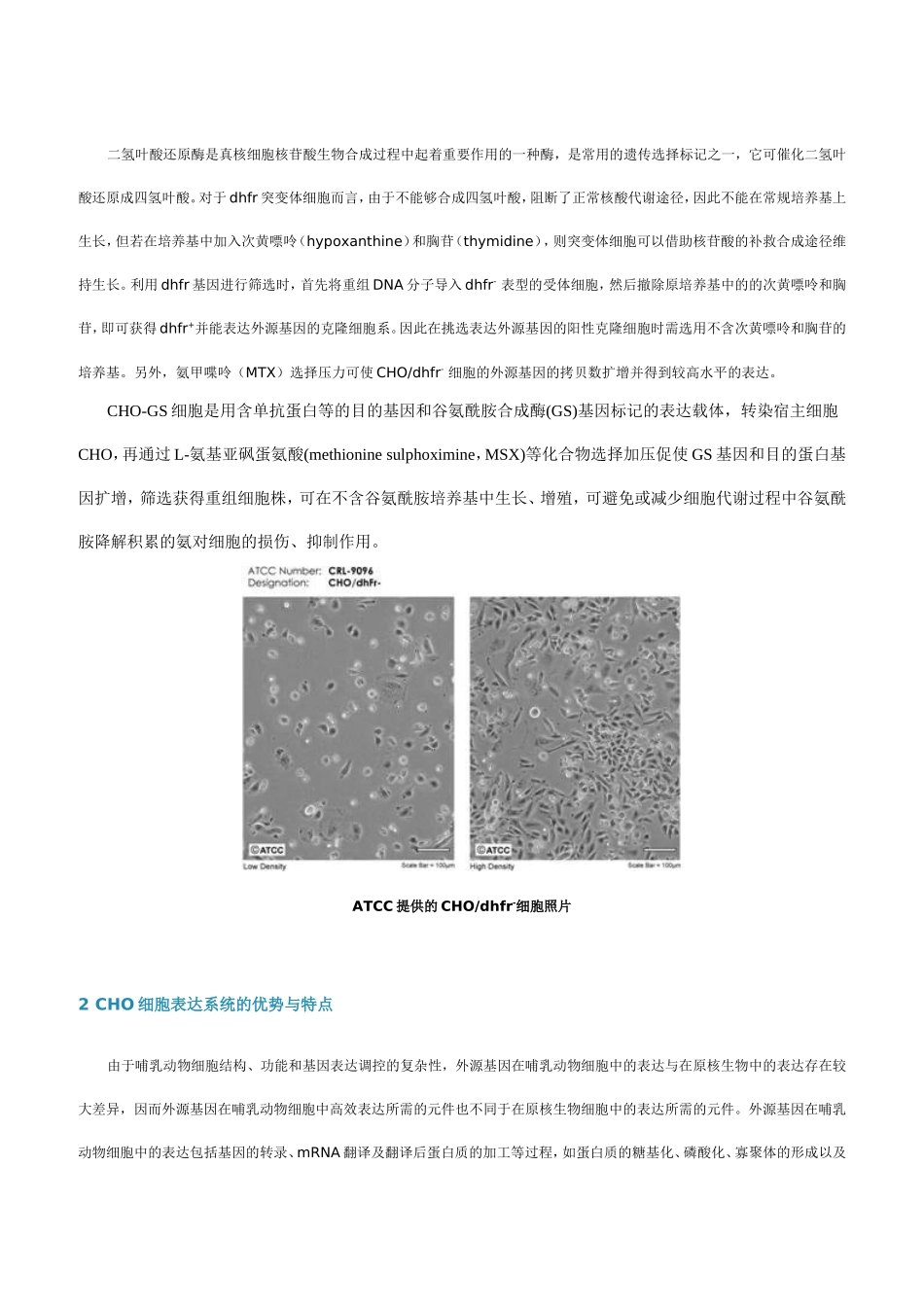 CHO细胞无血清培养基技术手册_第2页