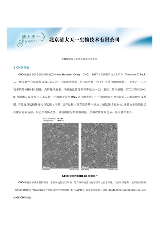 CHO细胞无血清培养基技术手册