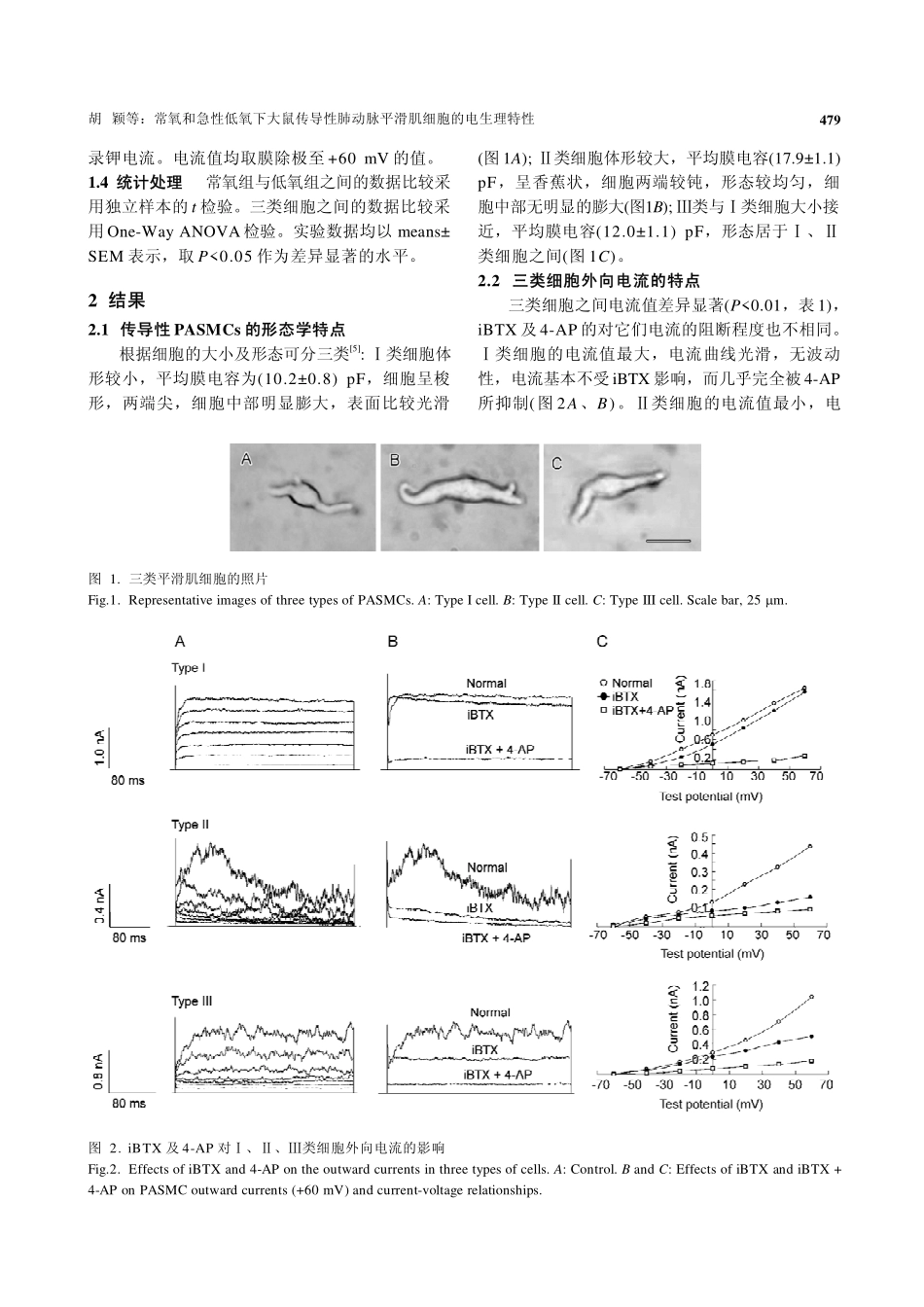 常氧和急性低氧下大鼠传导性肺动脉平滑肌细胞的电生理特性_第3页