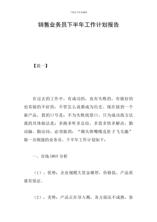 销售业务员下半年工作计划报告