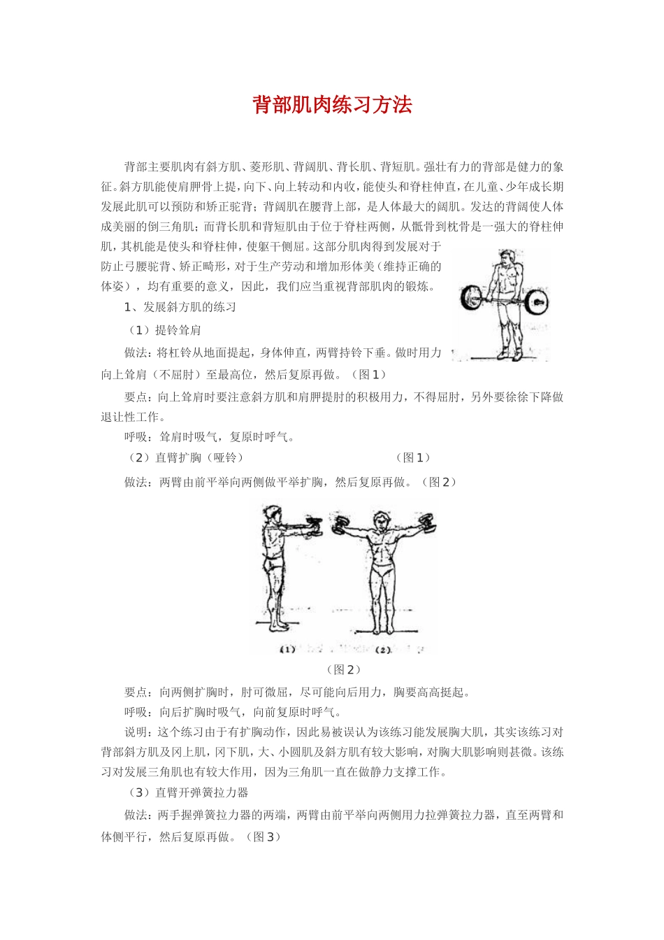 背部肌肉练习方法_第1页