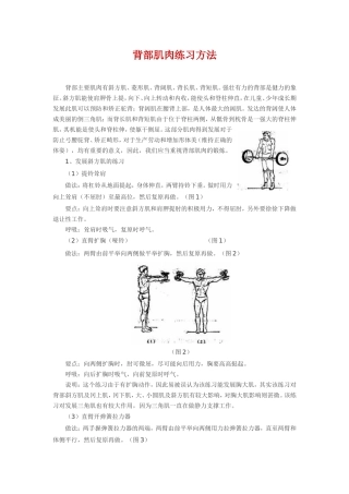 背部肌肉练习方法