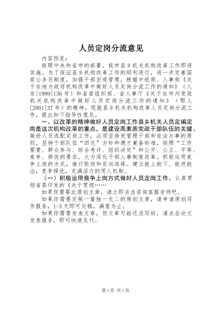 人员定岗分流意见