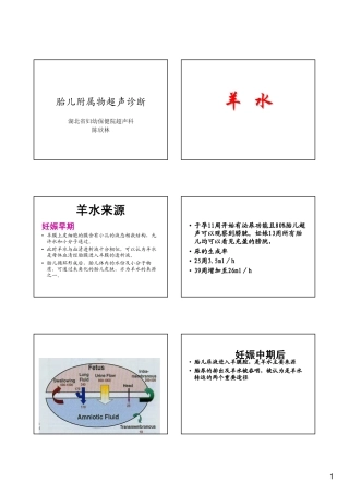 陈欣林教授胎儿附属物