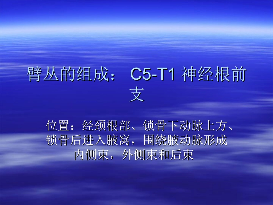 臂丛神经解剖_第3页