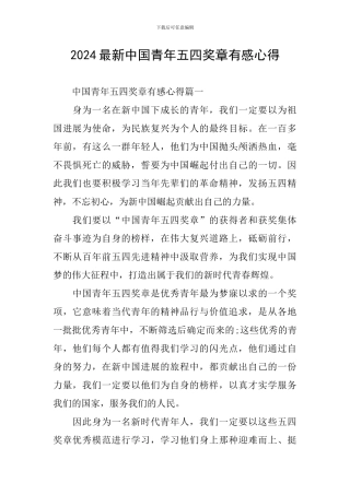 2024最新中国青年五四奖章有感心得