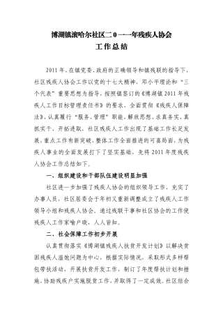 残疾人协会工作总结