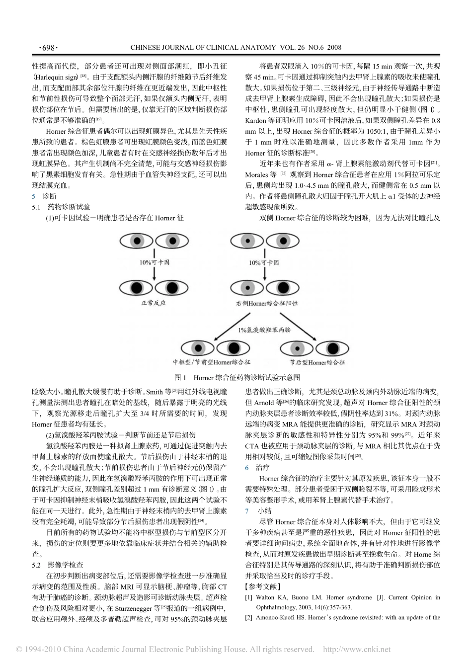 Horner综合征_第3页