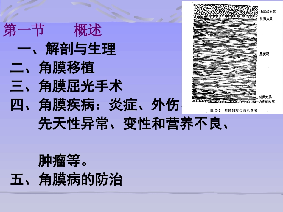 第八章 角膜病_第3页