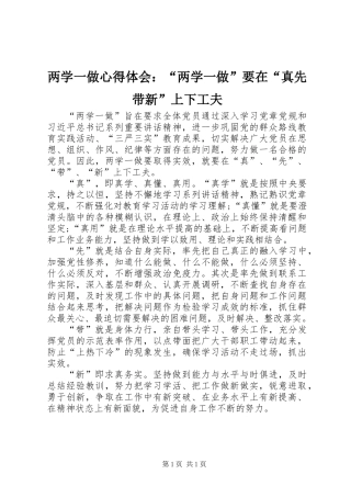 两学一做心得体会：“两学一做”要在“真先带新”上下工夫